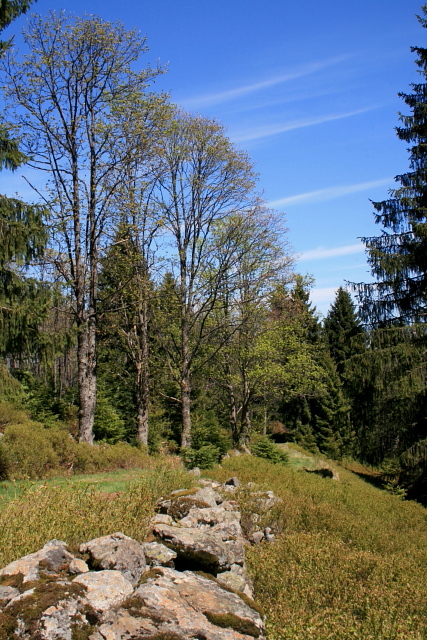 Zelená Hora (Grünberg)
