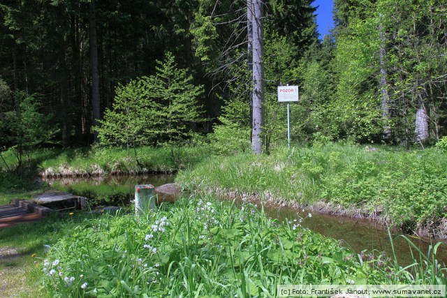 Schwarzenberský kanál na Česko-Rakouské hranici (křížení s potokem Pestřice)
