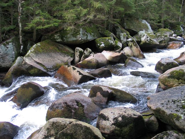 Křemelná, 25.11.2006
