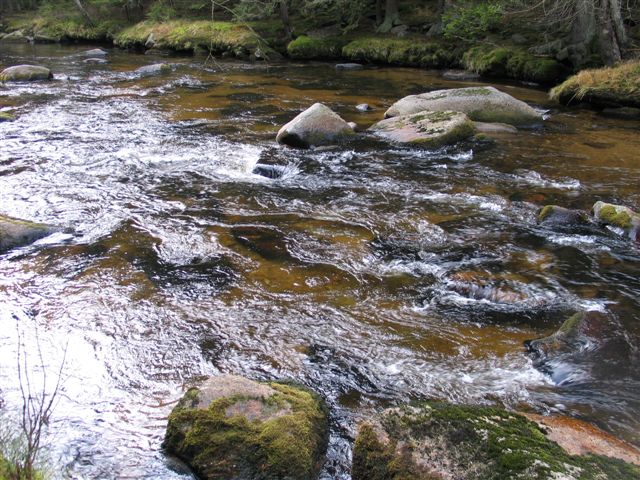 Křemelná, 25.11.2006
