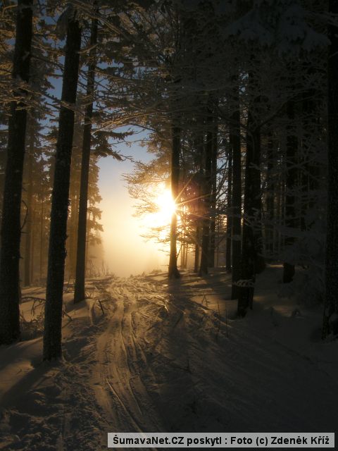 DSCF6280.jpg
