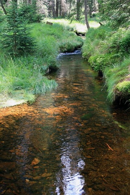 Vltavský potok po cca 2 km
