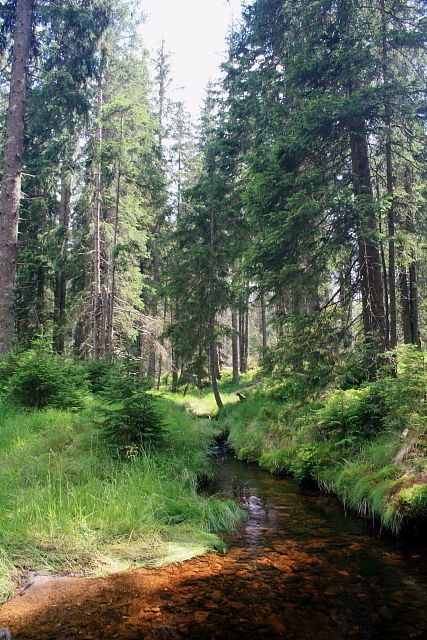 Vltavský potok po cca 2 km
