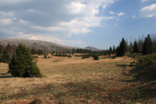 Březník  (Pürstling)
