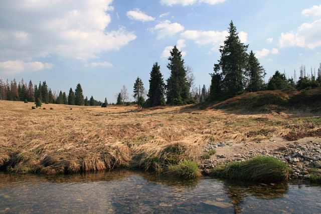 Březník  (Pürstling)
