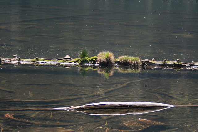 Černé jezero
