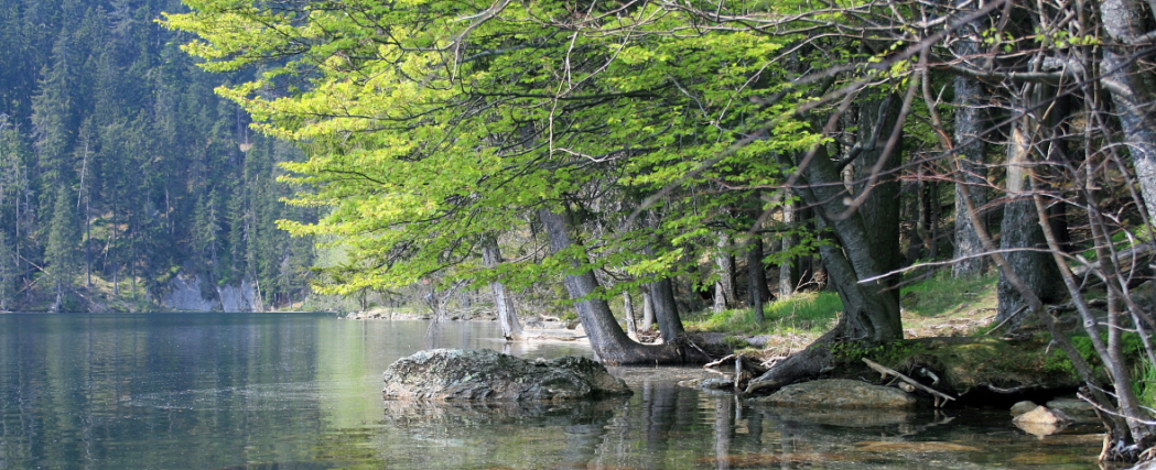 Černé jezero
