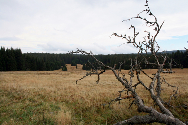 Zlatá studna  (Goldbrunn)
