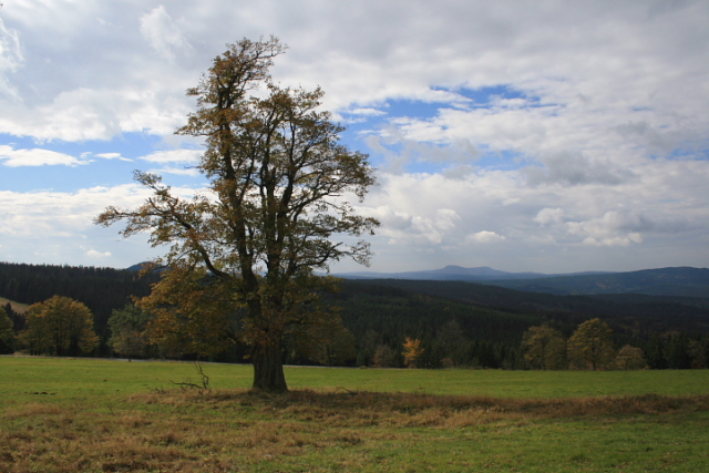 Zhůří  (Haidl)
