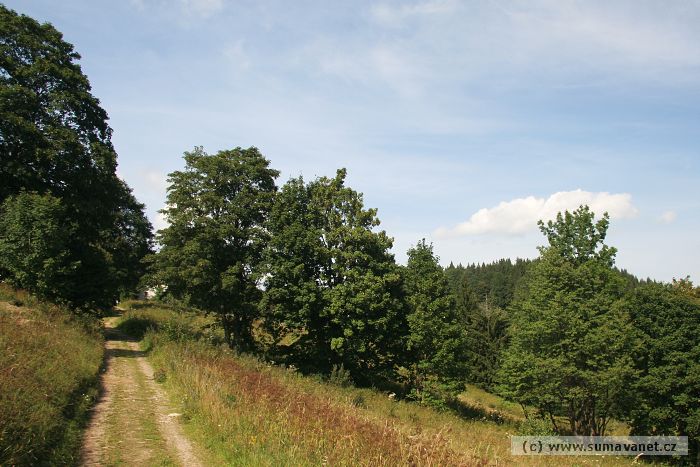 Cesta ke koupališti
