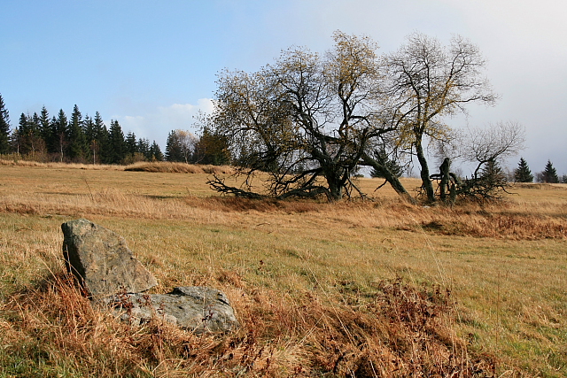 Zhůří  (Haidl)
