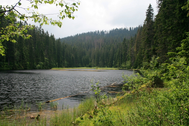 Jezero Laka
