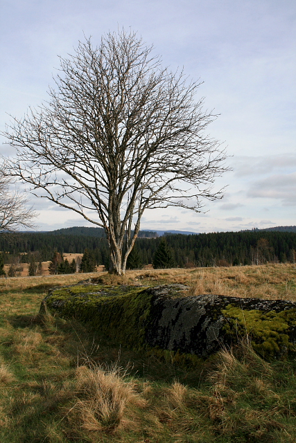 Knížecí pláně  (Fürstenhut)
