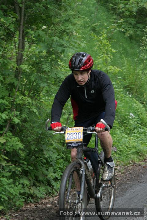 IMG_7977.jpg