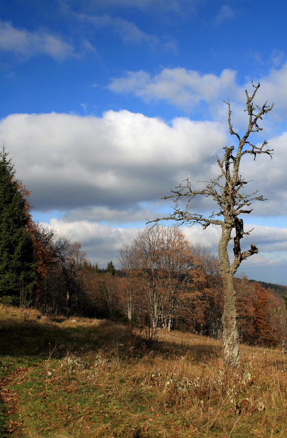 Zelená Hora  (Grünberg)
