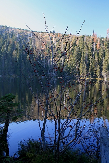 Prášilské jezero
