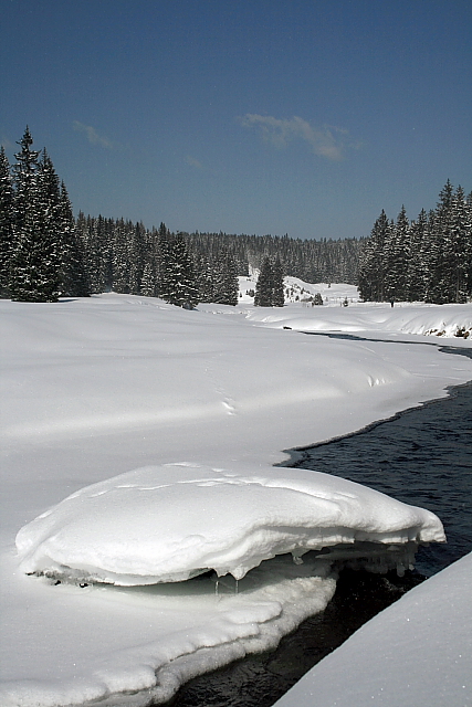 před Rybárnou
