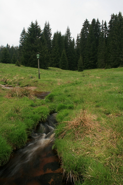 Losenice pod Zlatou Studnou (Goldbrunn)
