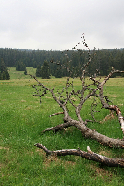 Zlatá Studna (Goldbrunn)
