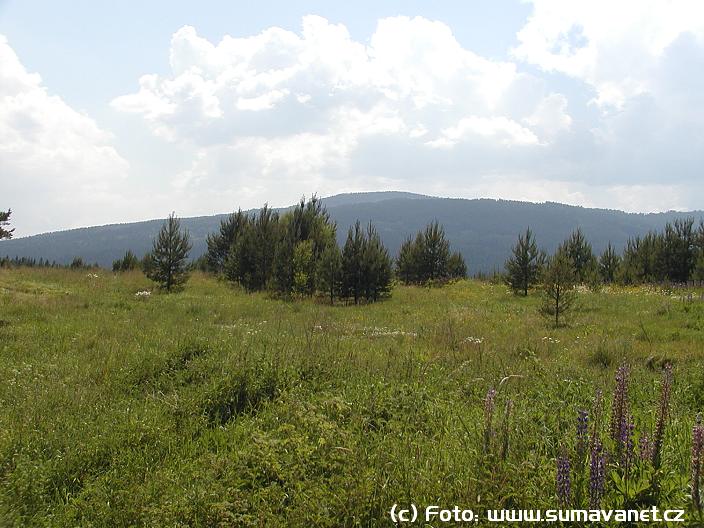 Pohled ze silnice Želená Ruda - Prášily
