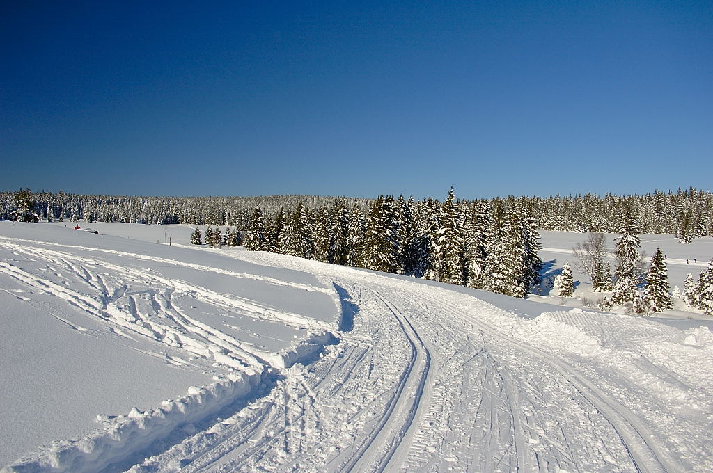 Horská Kvilda, pohled do stopy
©2005 Michal Malina, ŠumavaNet.CZ
