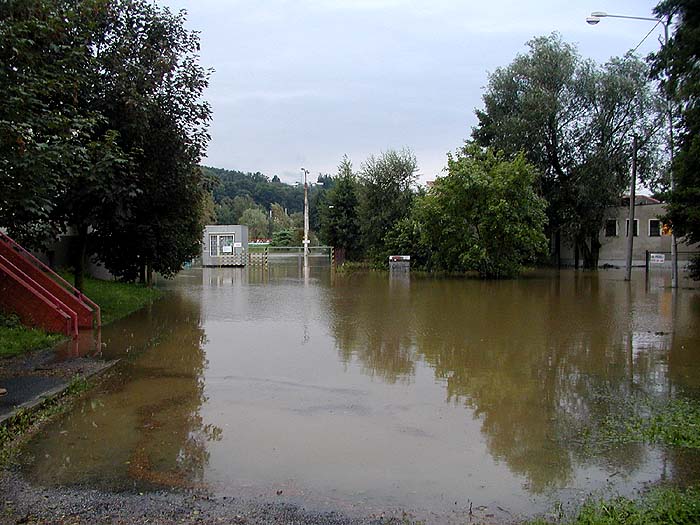 Úhlava u koupaliště
