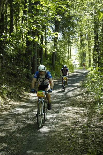 Foto: Michal Malina, Šumavanet.CZ
