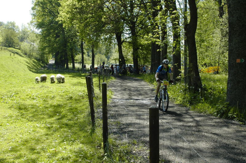 Foto: Michal Malina, Šumavanet.CZ
