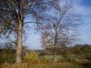 PA250034.jpg