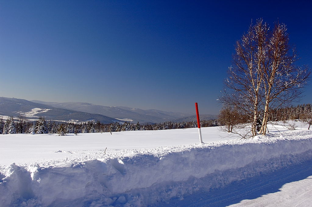 Výhled na Šumavu z KOzích hřbetů (směrem na Železnou Rudu)
©2005 Michal Malina, ŠumavaNet.CZ
