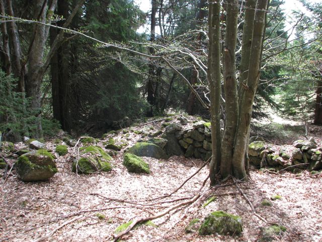 2_5_2012_158.jpg
