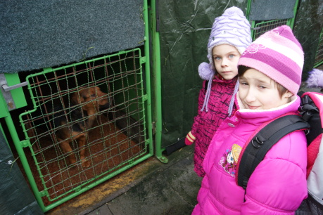 2012.12.20. Psí útulek
