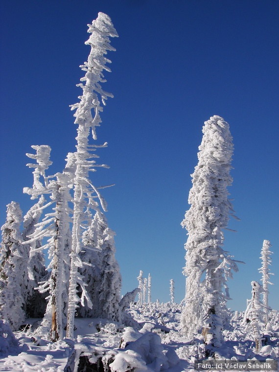 DSC03173.jpg