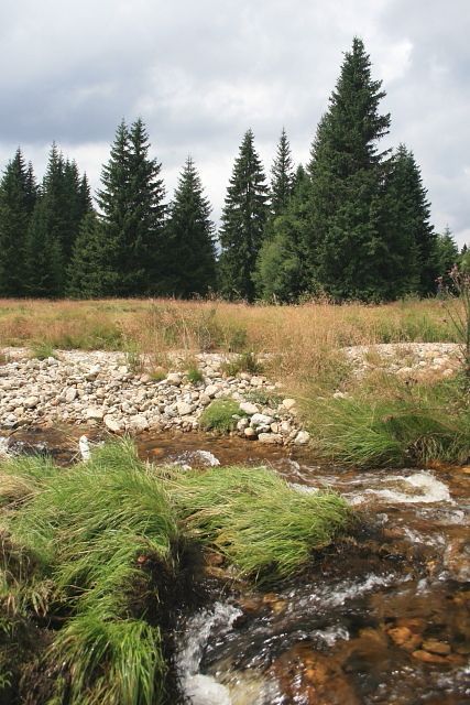 na Javoří pile
