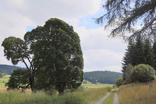 Březová Lada (Birkenhaid - Bettlhäuser)
