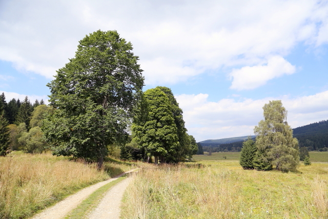 Březová Lada (Birkenhaid - Bettlhäuser)
