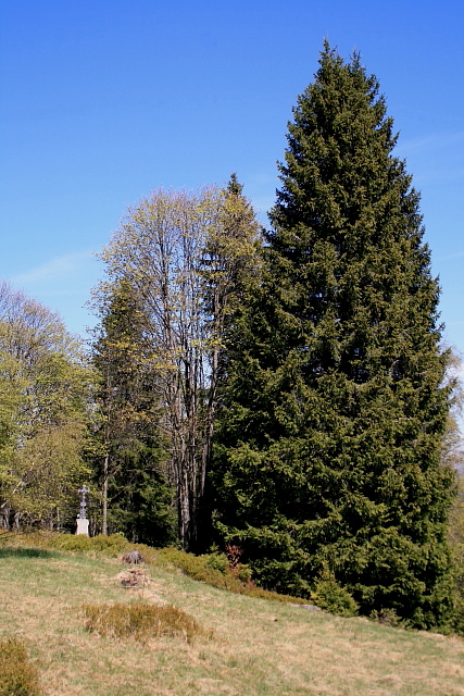 Zelená Hora (Grünberg)
