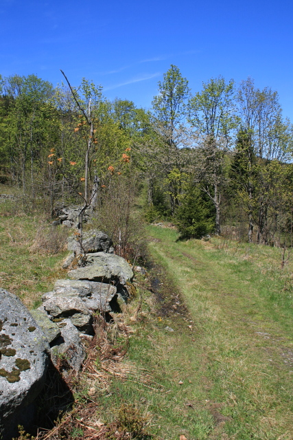 Zelená Hora (Grünberg)
