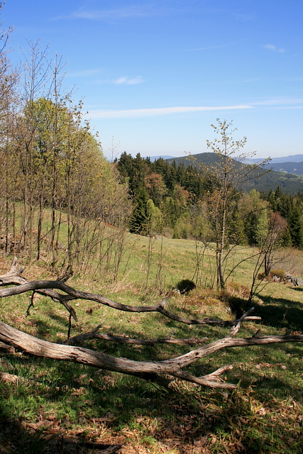 Zelená Hora (Grünberg)
