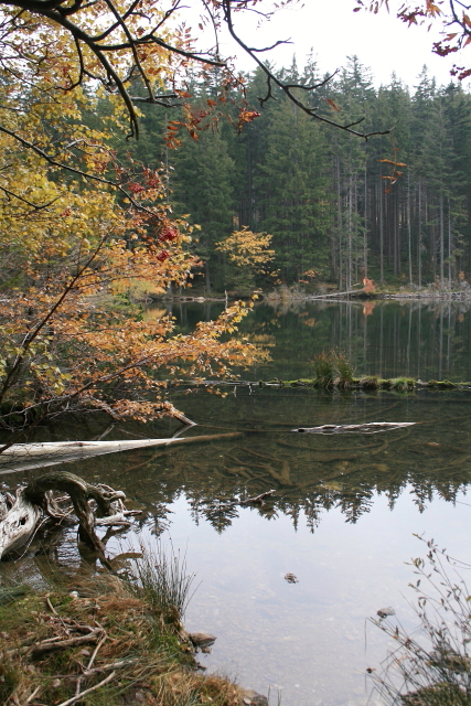 podzim na Černém jezeře
