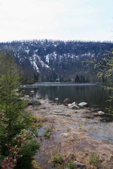 Plešné jezero (30/4/2012)
