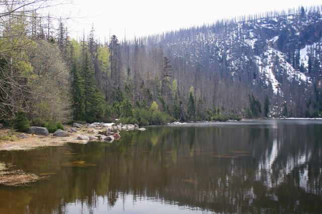 Plešné jezero (30/4/2012)
