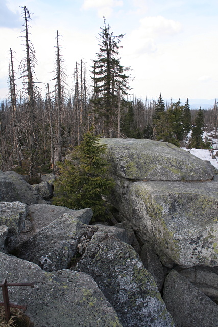 Plechý - Plöckenstein (1378 m n. m.)
