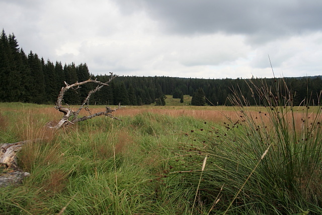 Zlatá Studna (Goldbrunn)
