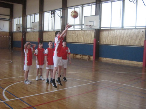 2013.3.20. Basketbal 6.,7.roč. H, OK
