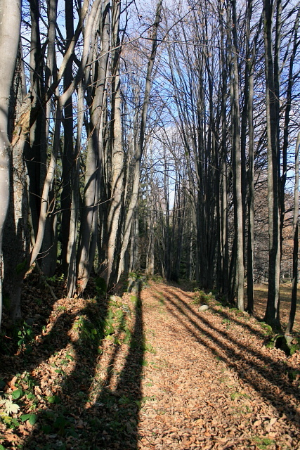 Zelená Hora (Grünberg)
