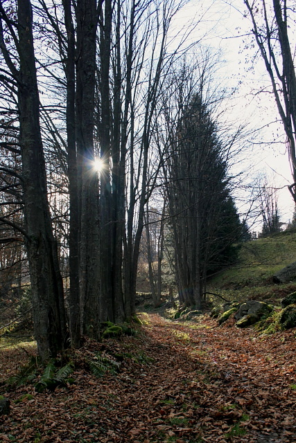 Zelená Hora (Grünberg)
