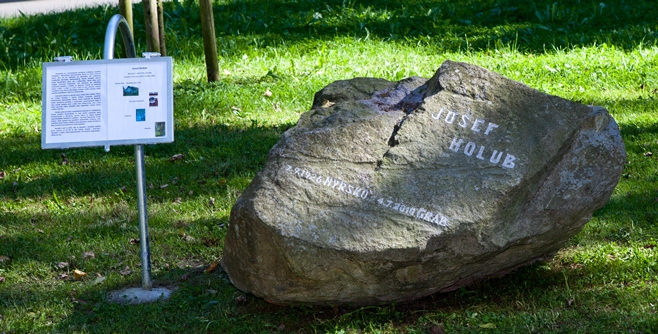 Pamětní kámen spisovatele Josefa Holuba ve vznikajícím Parku paměti u Lesního divadla v Nýrsku
Kámen byl symbolicky vzat právě z pomezí mezi Nýrskem a Pocinovicemi, tedy z míst setkávání Jiřího a Josefa, hrdinů nejznámějšího románu "Červený Nepomuk"
