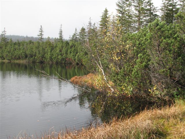 Kvilda_-_22__z____2011_037.jpg