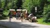 24___erven_2011_305.jpg